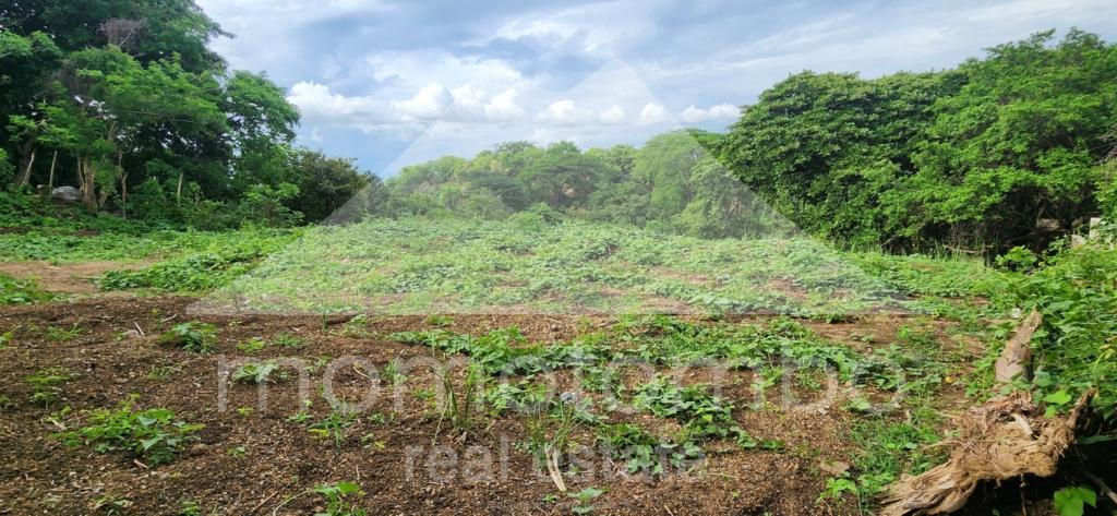 Terreno en Venta San Isidro De Bolas, Managua
